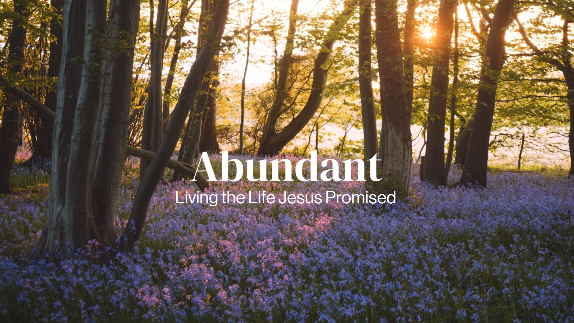 Abundant