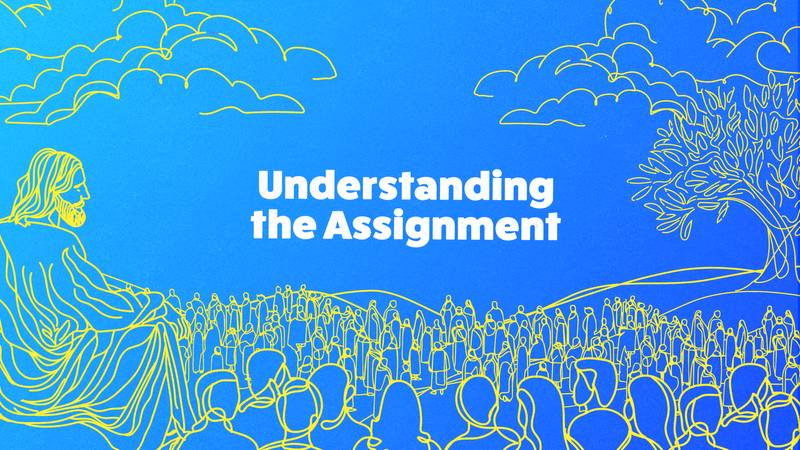 Understanding The Assignment